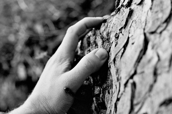 Screen Shot 2017-10-13 at 12.38.07